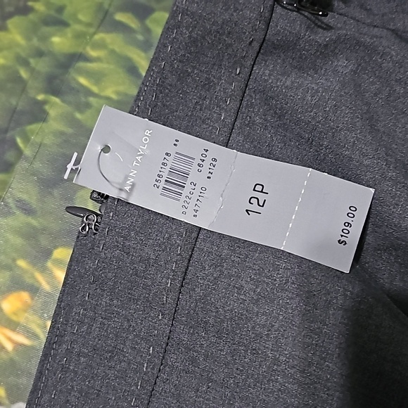Ann Taylor‎ Pencil Skirt Size 12P Petite New - Picture 2 of 6